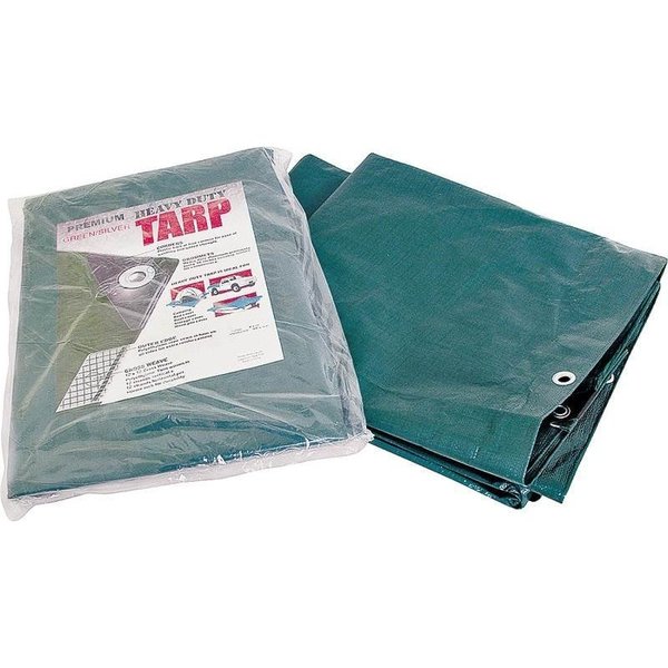 Prosource 9 ft x 12 ft Tarp, Green/Silver T0912GS140